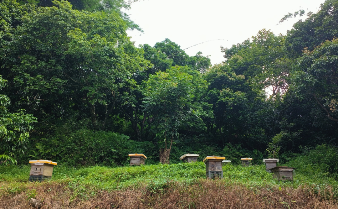 IMG_266 IMG_266